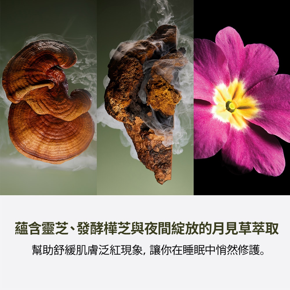 Dr. Weil For Origins™ Mega-Mushroom Overnight Recovery Cream 靈芝菇菌抗逆修護晚霜