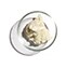 Shea Butter